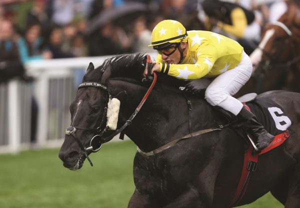 Giant Sandman (Footstepsinthesand) winning the G2 Goldene Peitsche in Baden-Baden