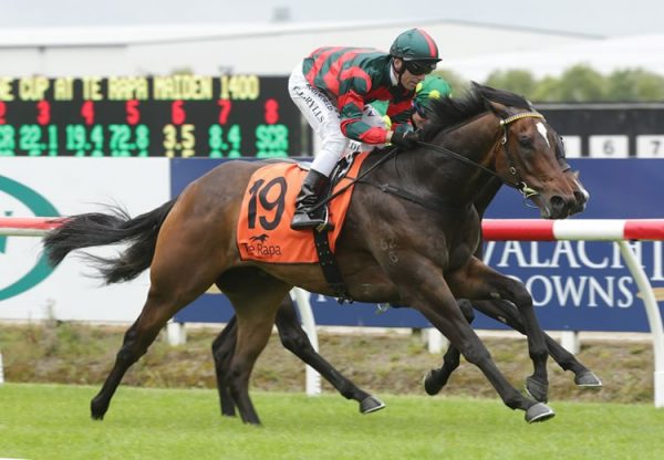 Dragon Leap (Pierro) winning on debut at Te Rapa