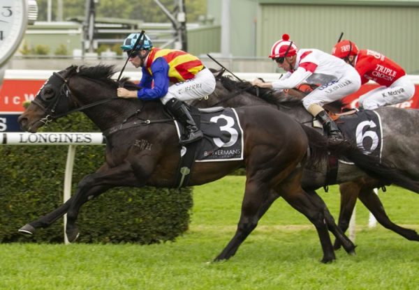 Pierata (Pierro) winning the Gr.2 Shorts H'cap at Randwick