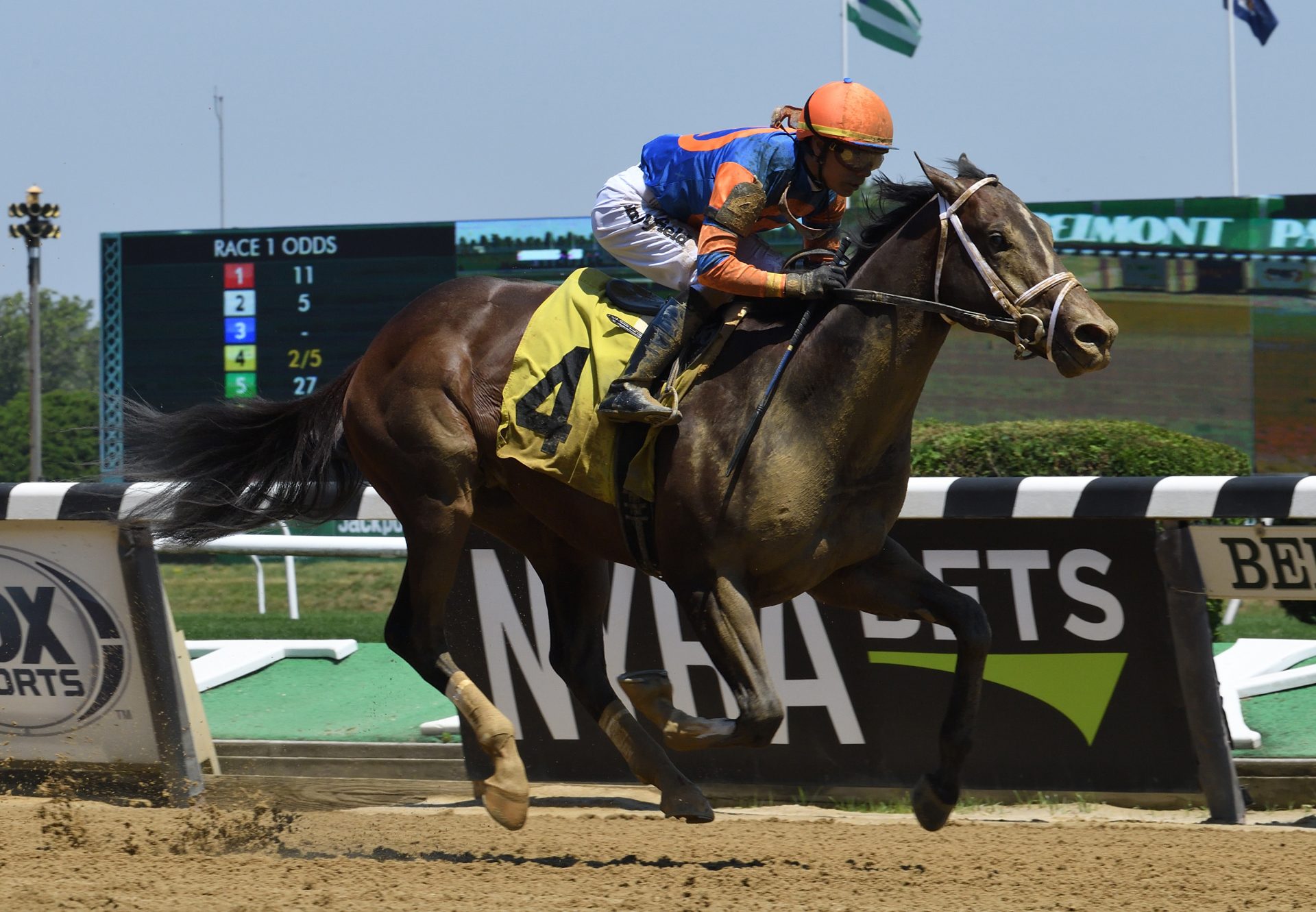 Wit (Practical Joke) Breaks Belmont Maiden