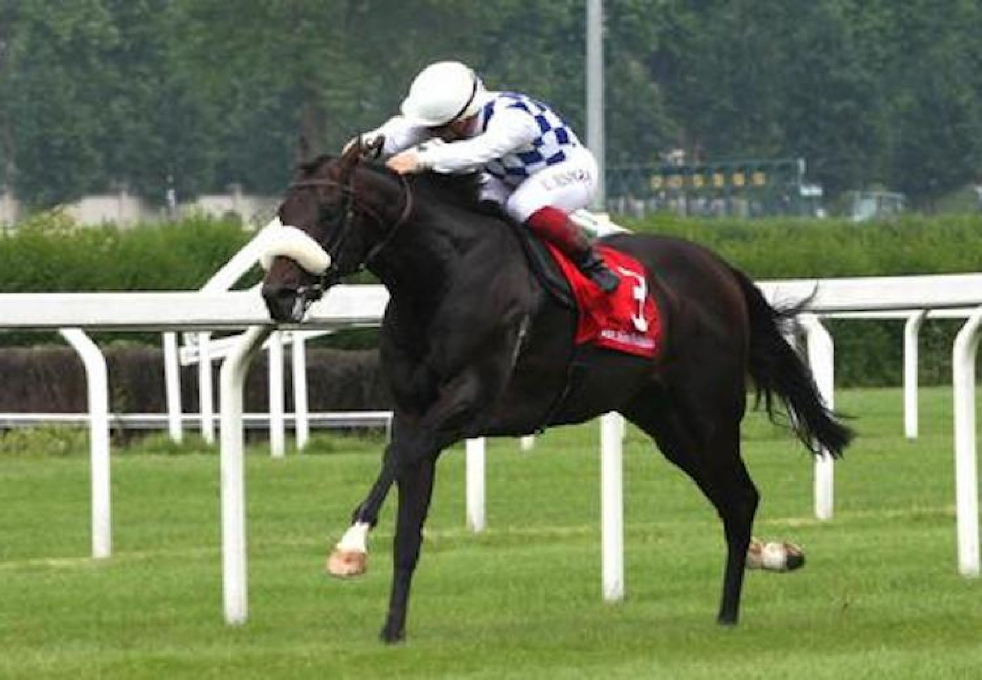 Kaspersky (Footstepsinthesand) winning the G2 Premio Carolo Vittadini in Milan