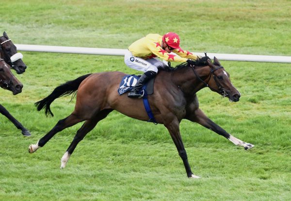 Ulster Blackwater (Camelot) Wins Her Maiden At Naas