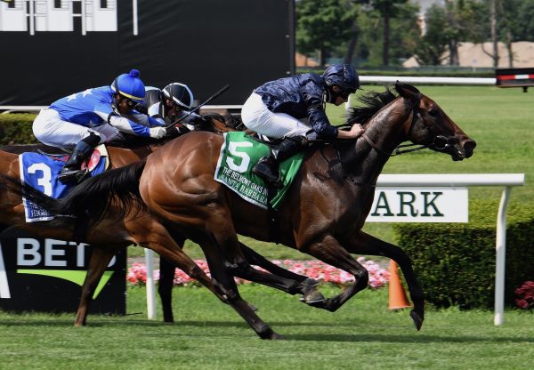 Santa Barbara (Camelot) wins The Belmont Oaks at Belmont