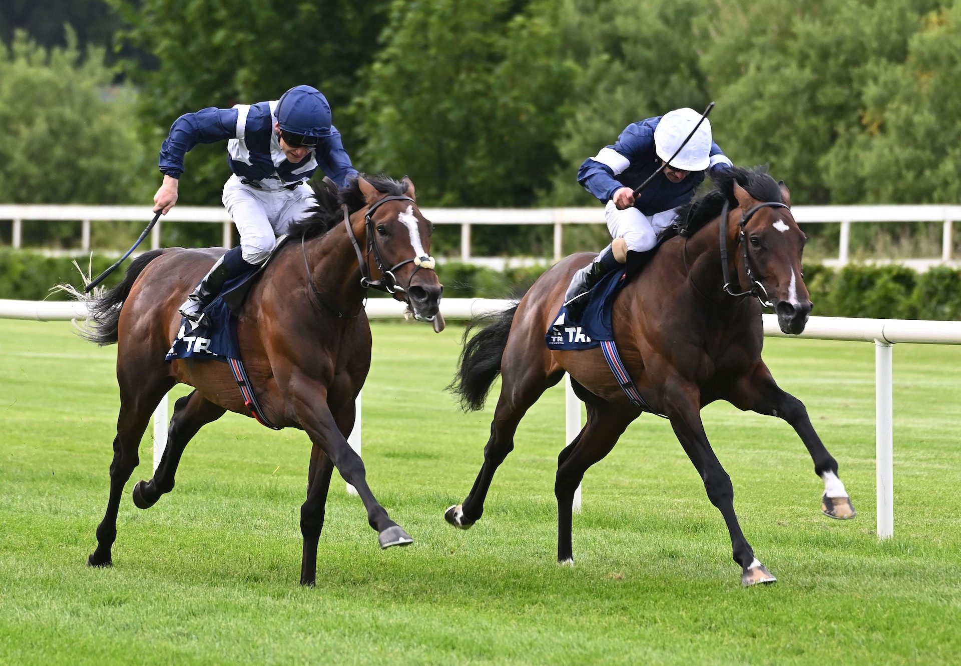 Como Park (Camelot) Wins His Maiden At Leopardstown