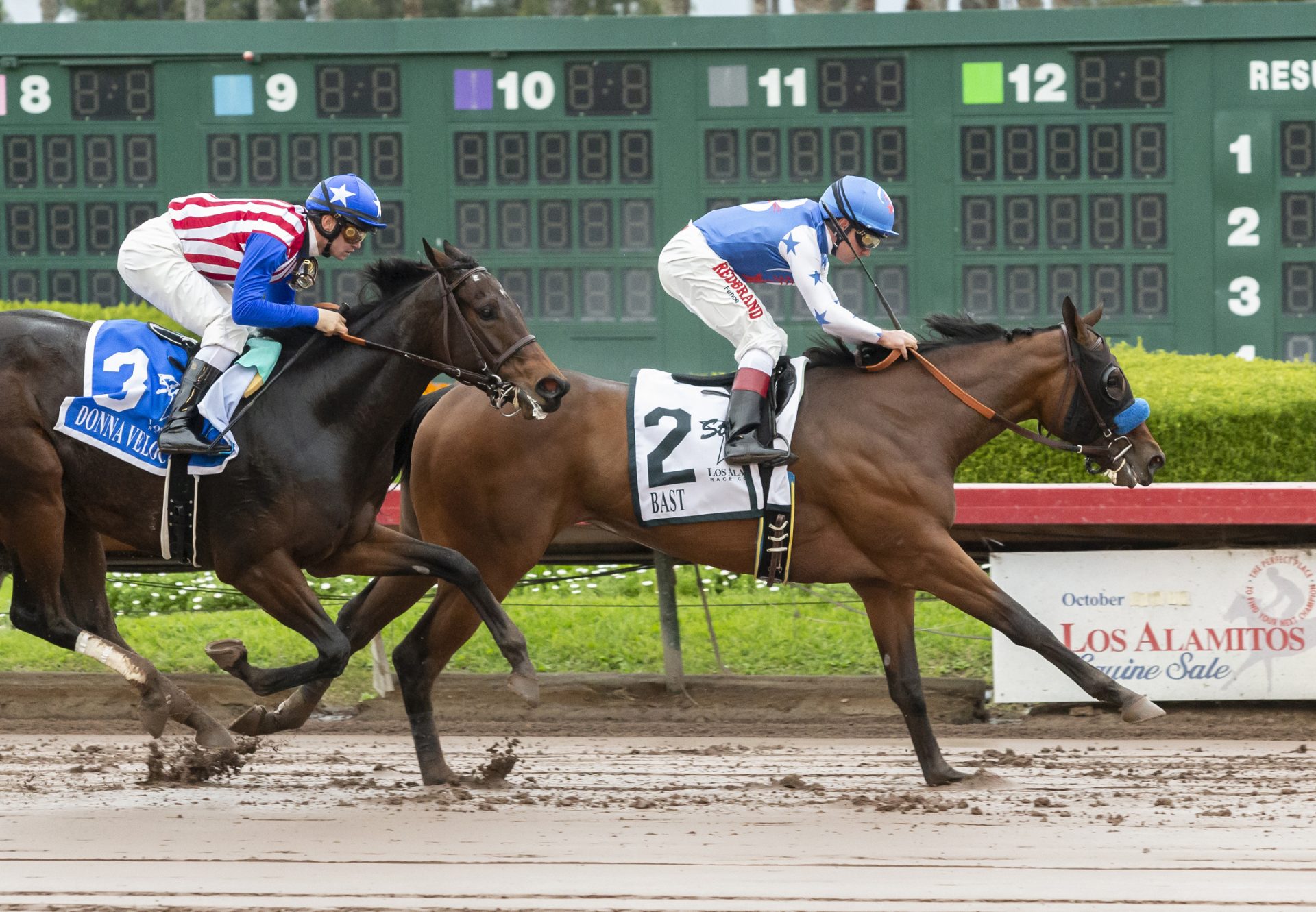 Bast (Uncle Mo) winning the Gr.1 Starlet Stakes at Los Alamitos