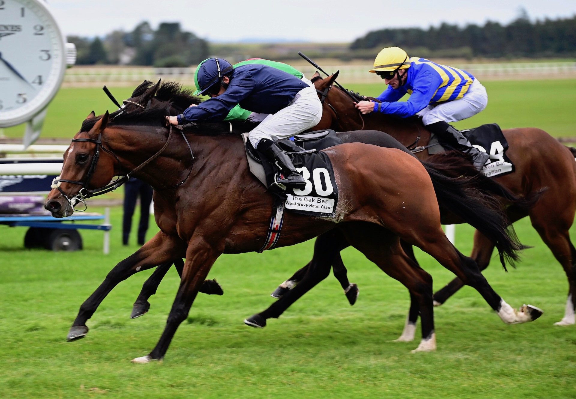 Waterville (Camelot) Wins The Irish Cesarewitch at the Curragh