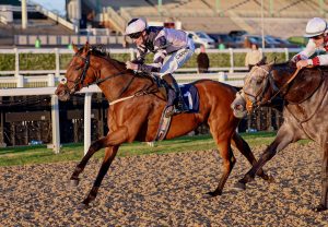 American Mike (Mahler) Wins The Grade 2 Novice Chase At Navan