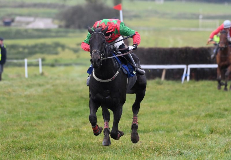 Glady Max (Maxios) Wins His Maiden At Ballindenisk