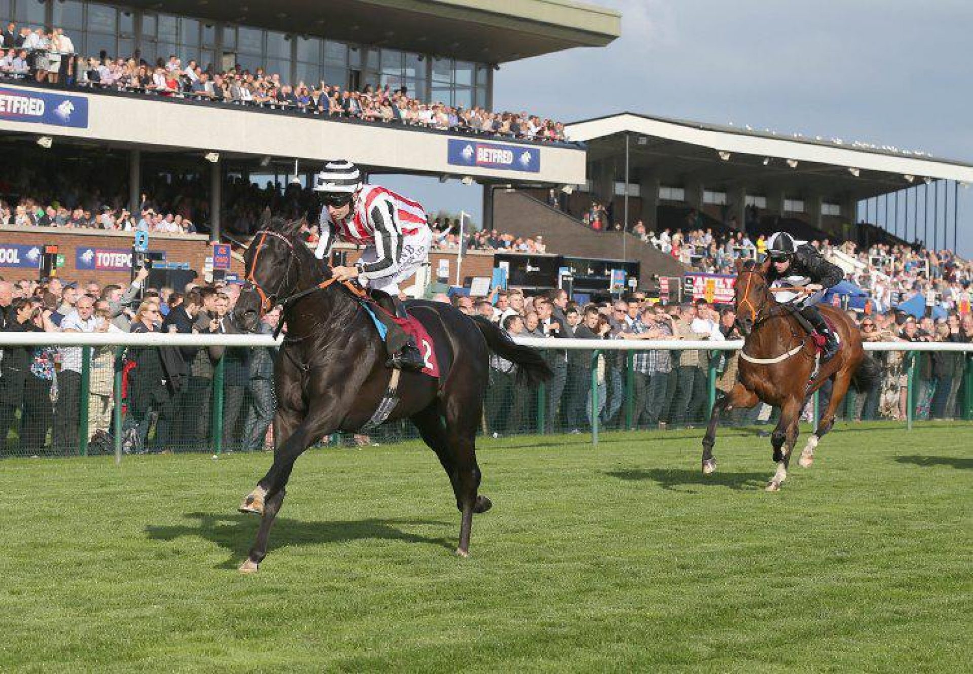 Celestial Path (Footstepsinthesand) winning the Listed Ascendant Stakes at Haydock