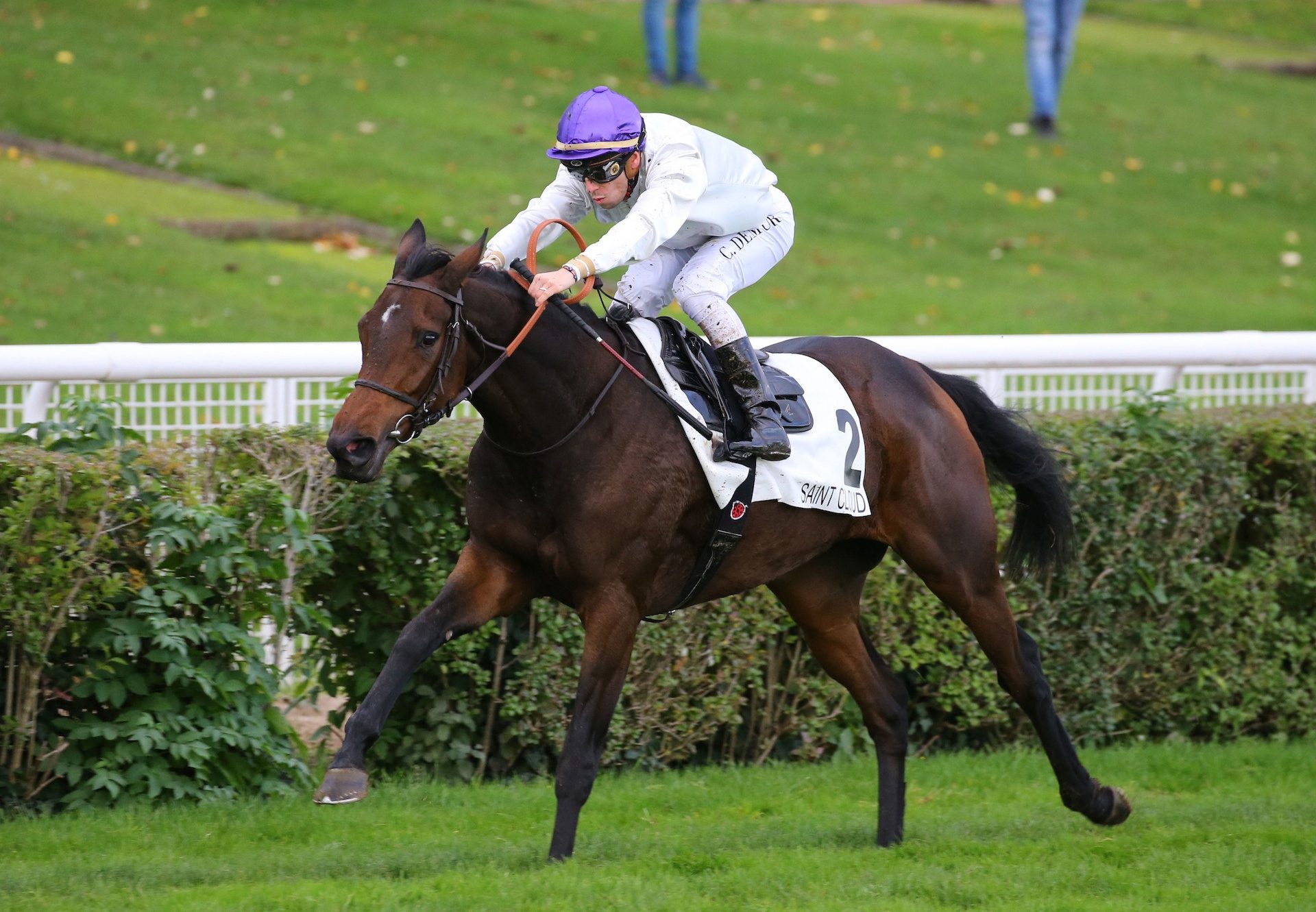 Bolleville (Camelot) Wins The Prix Solitude at Saint-Cloud