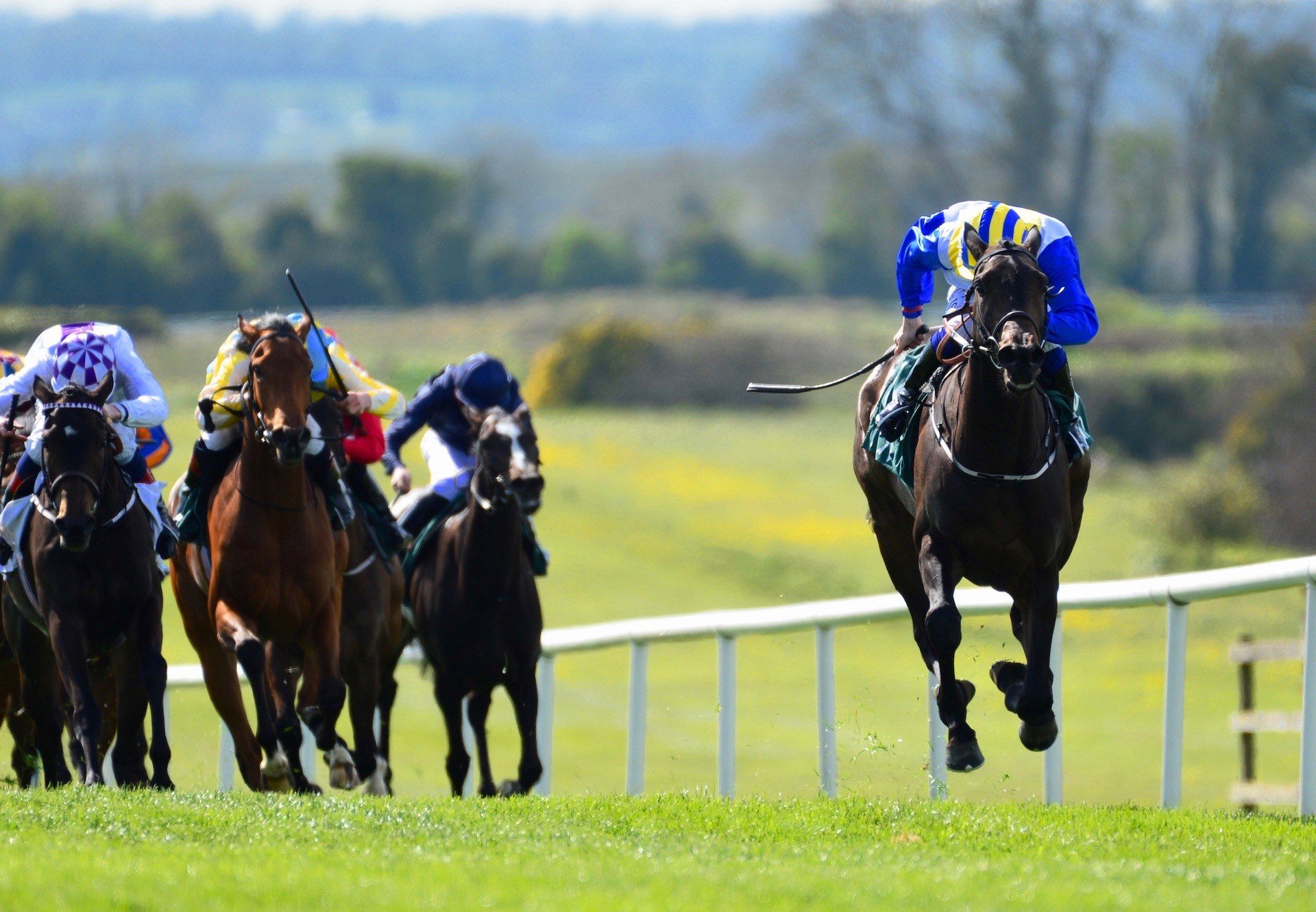 Rocky Sky (Rock Of Gibraltar) Wins The Listed Salsabil Stakes at Navan