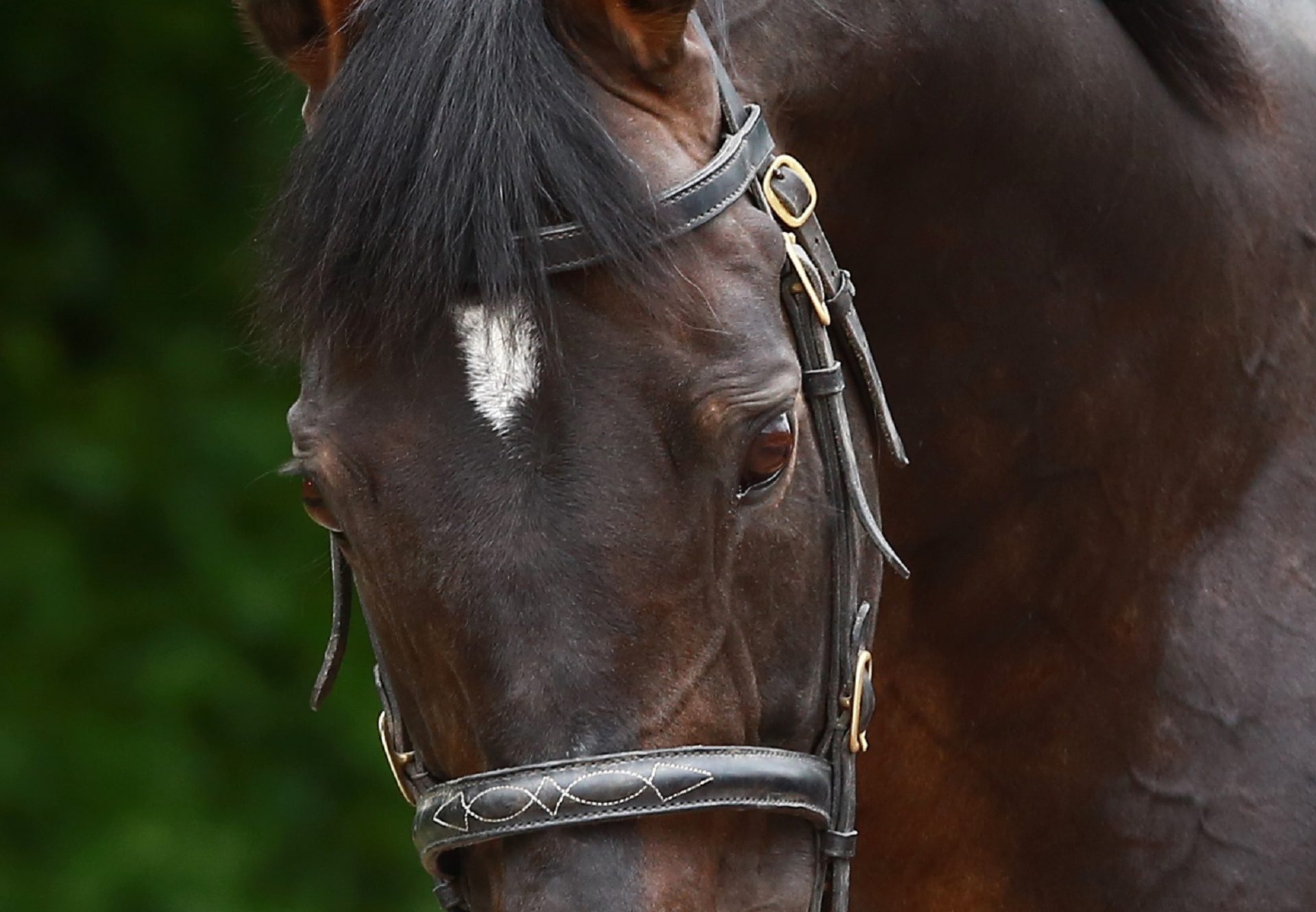 Mighty Bandit (Order Of St George) Impresses On Debut At Punchestown