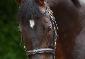 Nothingtodowithyou (Soldier Of Fortune) Wins His Maiden At Ballyvodock