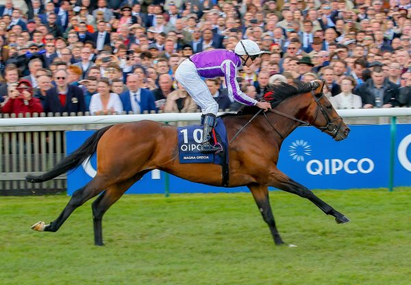 Magna Grecia winning the Gr.1 2,000 Guineas at Newmarket