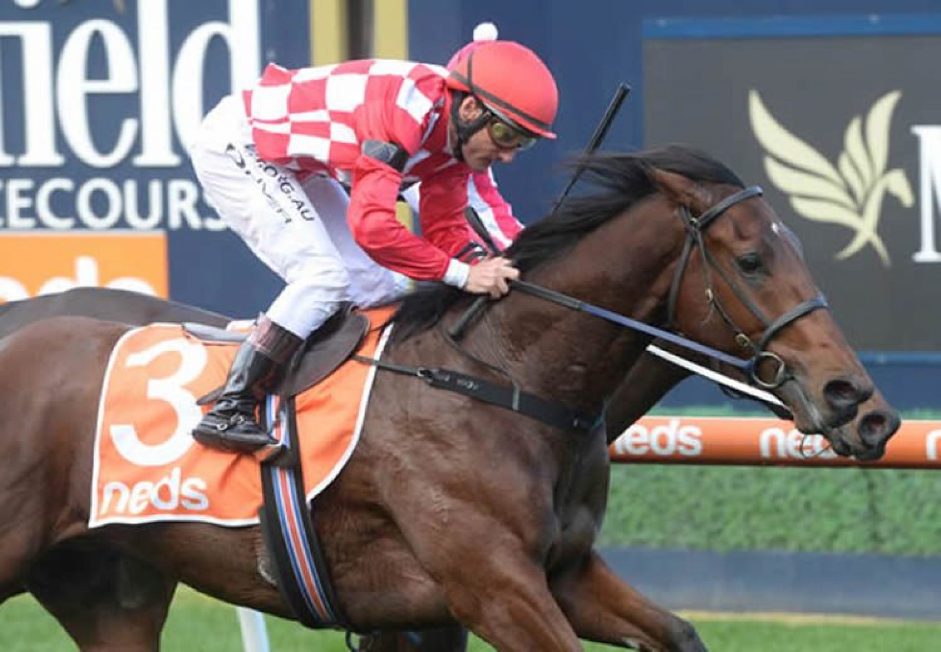 Saltpeter (Pierro) winning at Caulfield