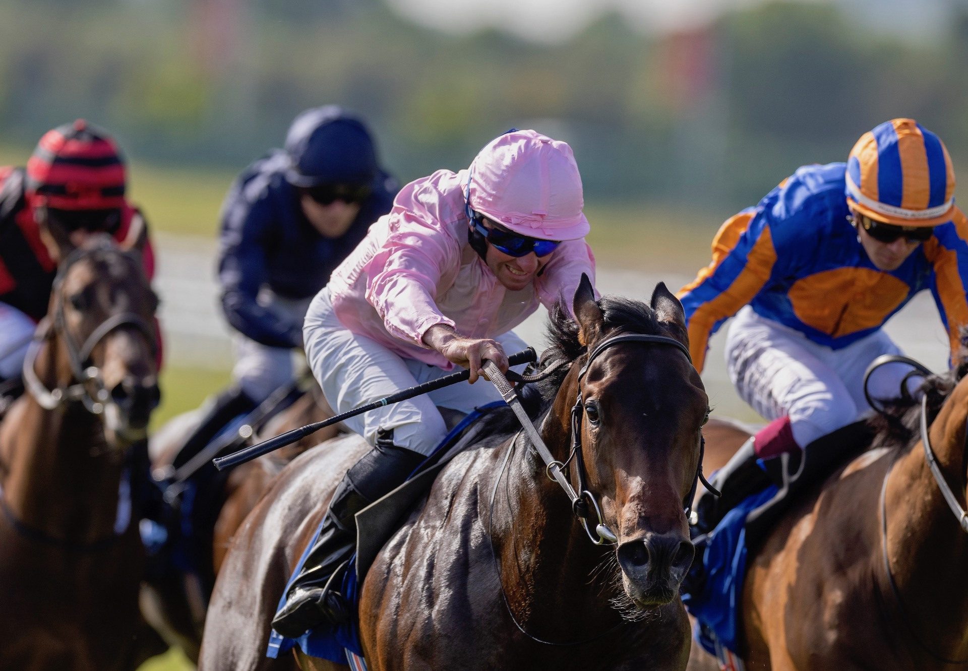 The Liffey (No Nay Never) Wins On Debut at the Curragh