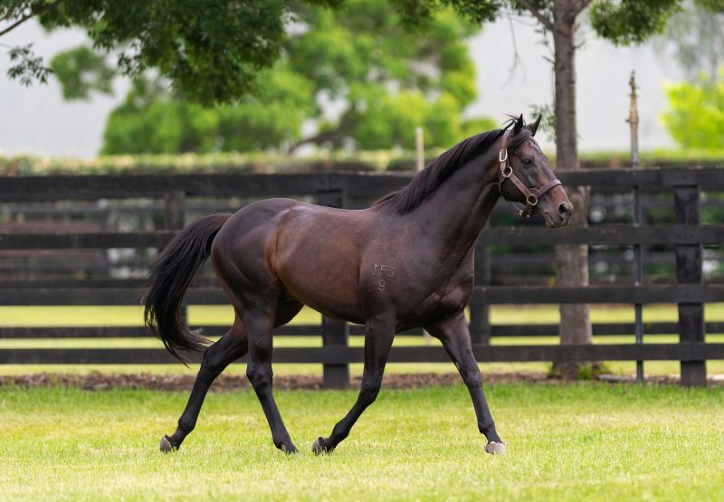 Pierro Paddock