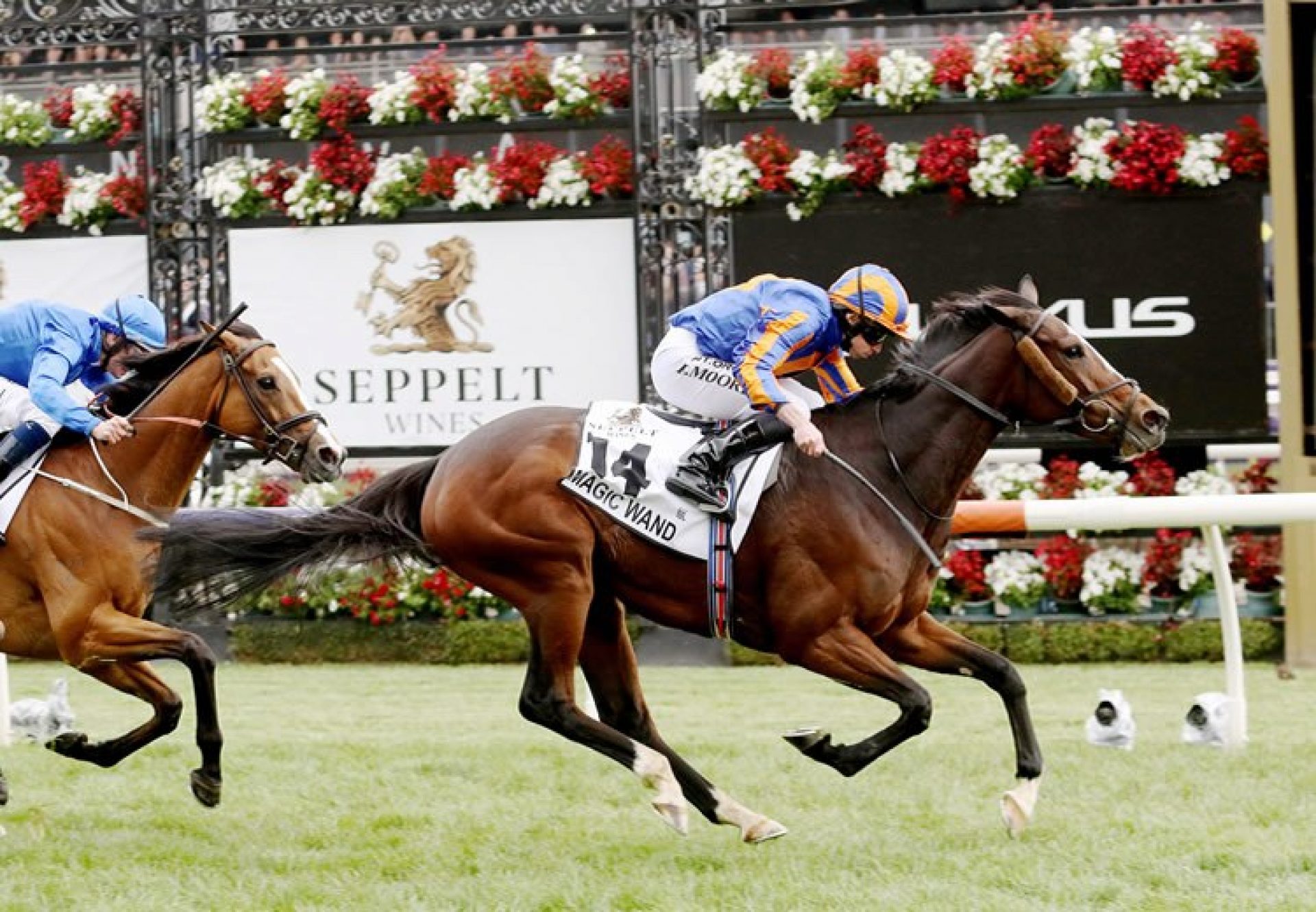 Magic Wand (Galileo) winning the Gr.1 Mackinnon Stakes at Flemington