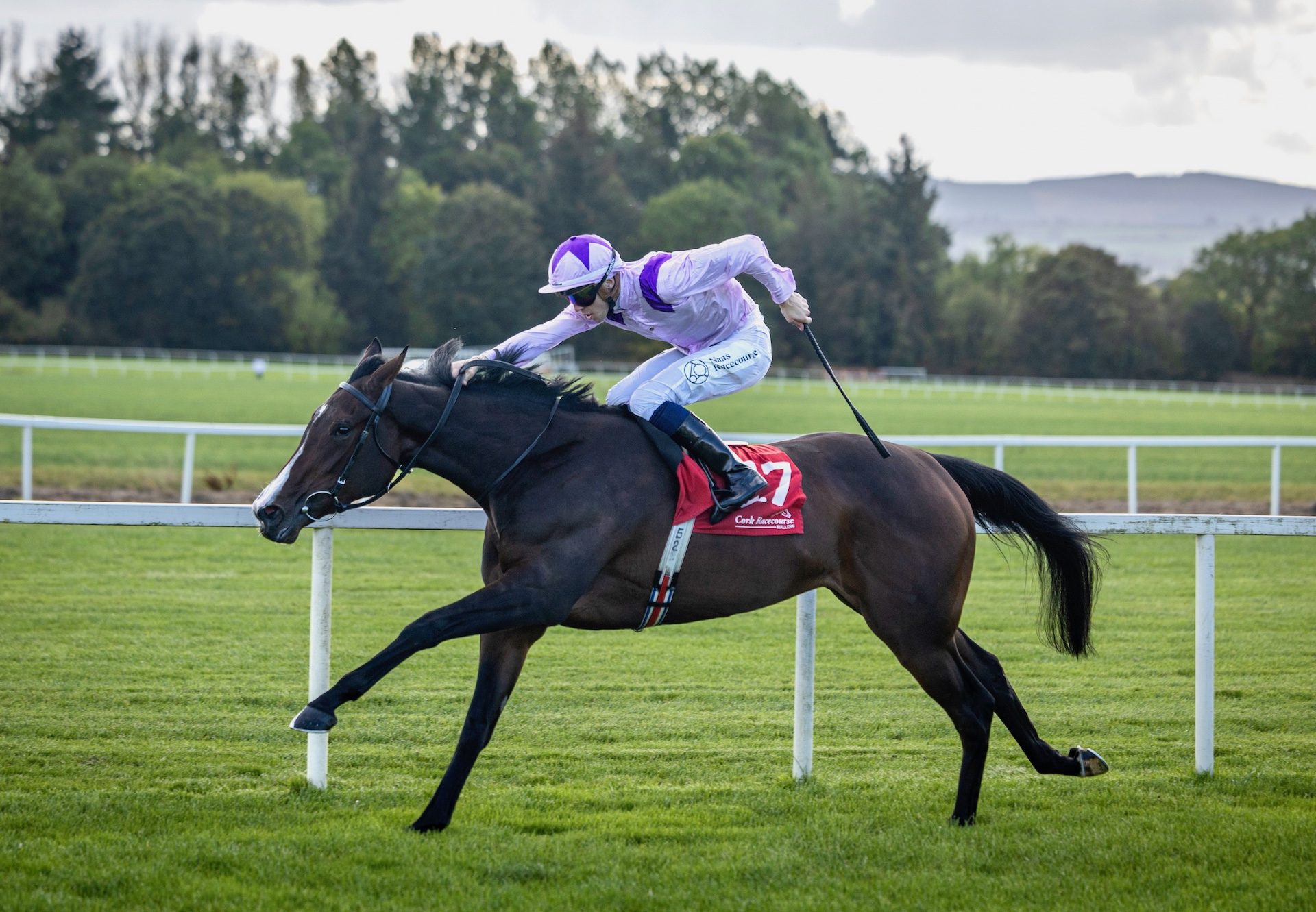 Wemightakedlongway (Australia) Wins Her Maiden At Cork