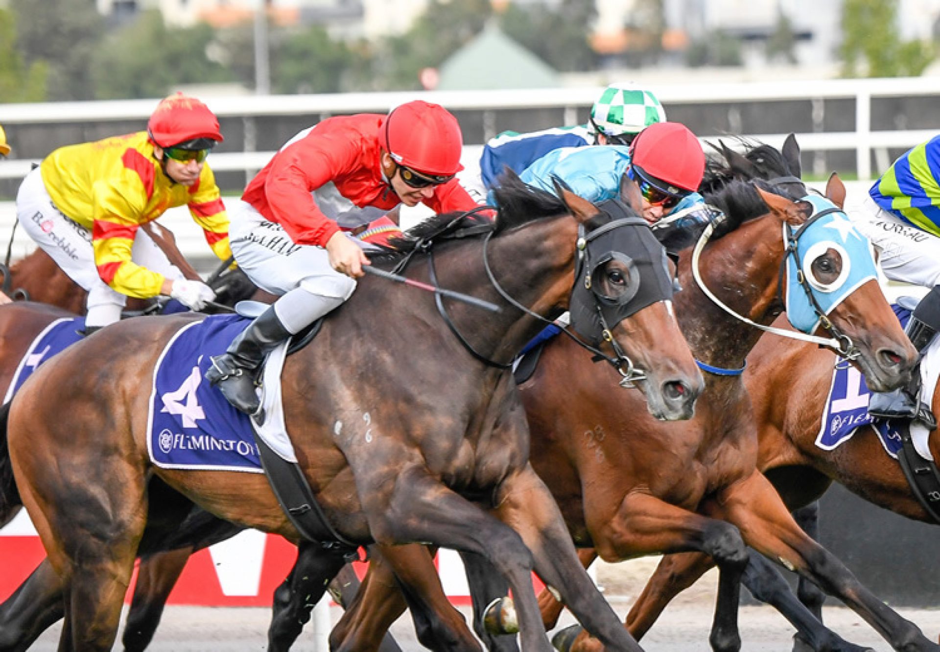 Sacramento (Pierro) winning the Listed St Leger at Flemington