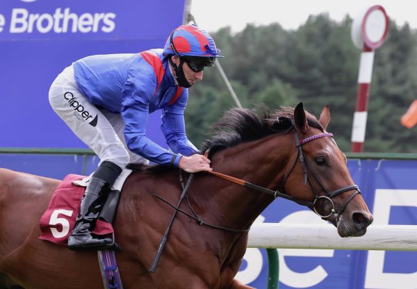 Dubai Honour (Pride Of Dubai) Wins At Haydock