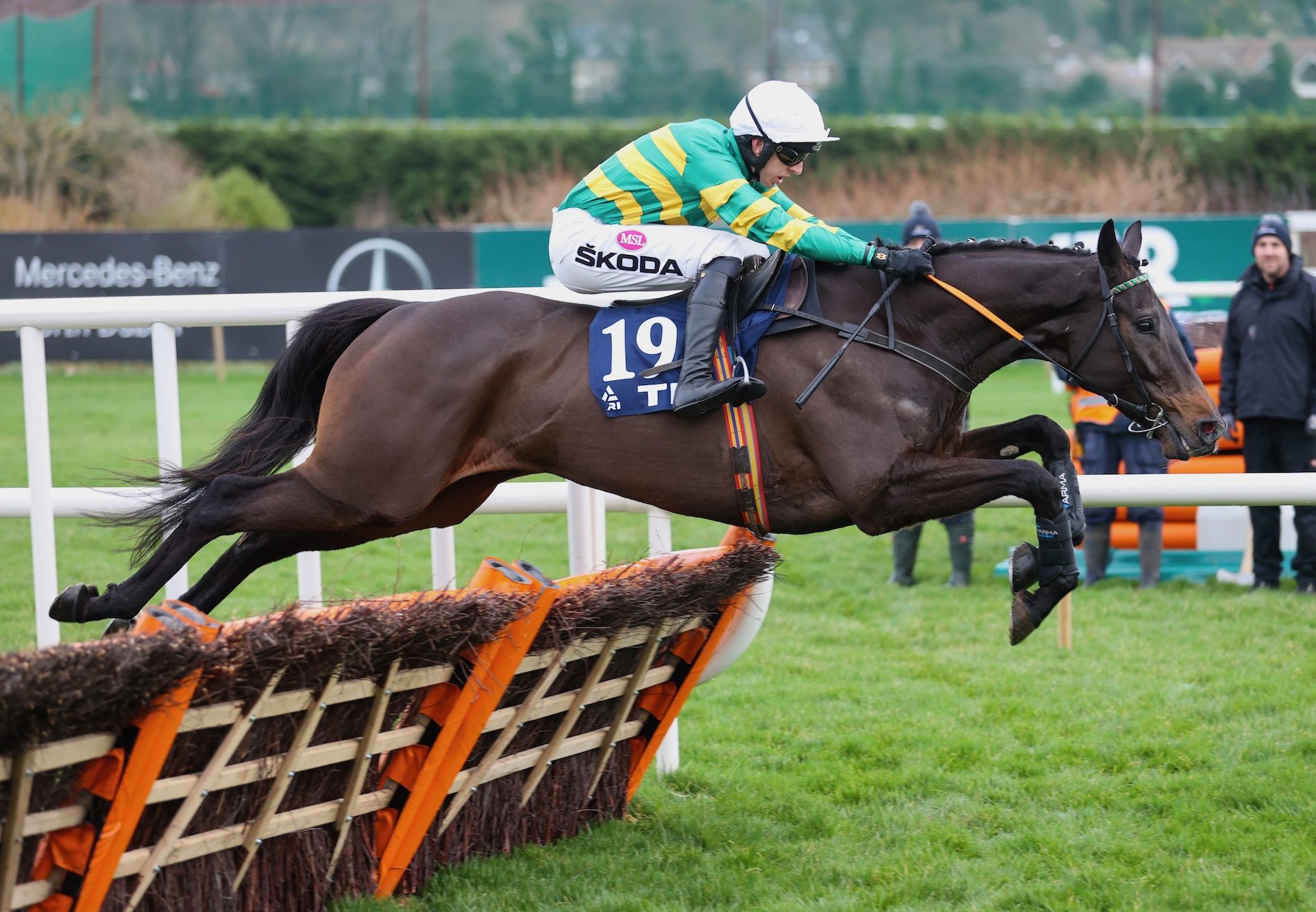 No Flies On Him (Westerner) Wins The Maiden Hurdle At Leopardstown