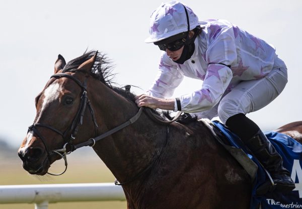 Lancaster House (Galileo) Wins His Second Gladness Stakes at the Curragh