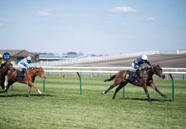 Carolus Magnus (Holy Roman Emperor) Wins His Maiden At Newmarket