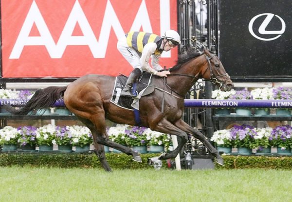 Downdraft (Camelot) winning the Gr.3 Hotham Handicap at Flemington