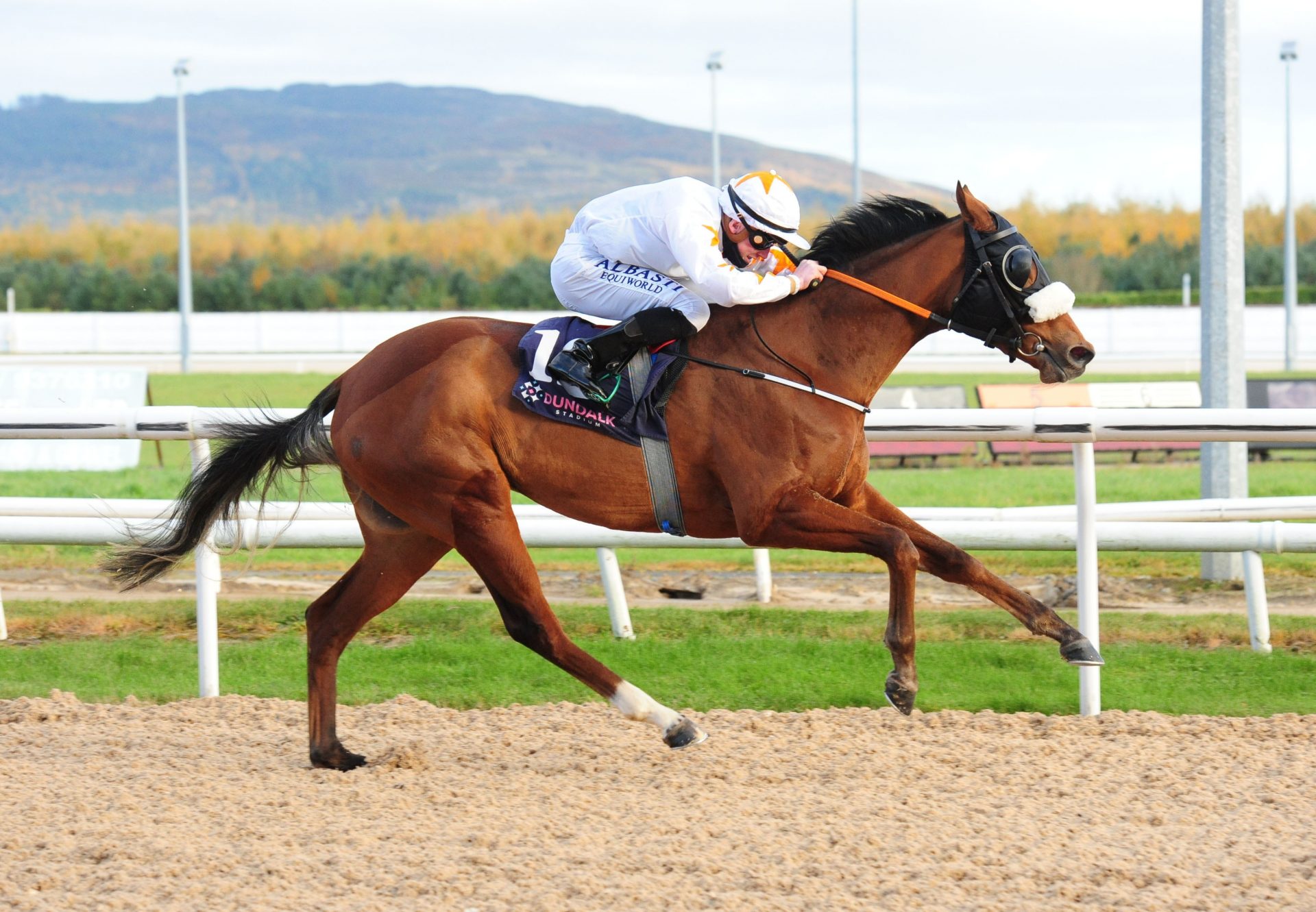 Ablah (Air Force Blue) Breaks Maiden At Dundalk