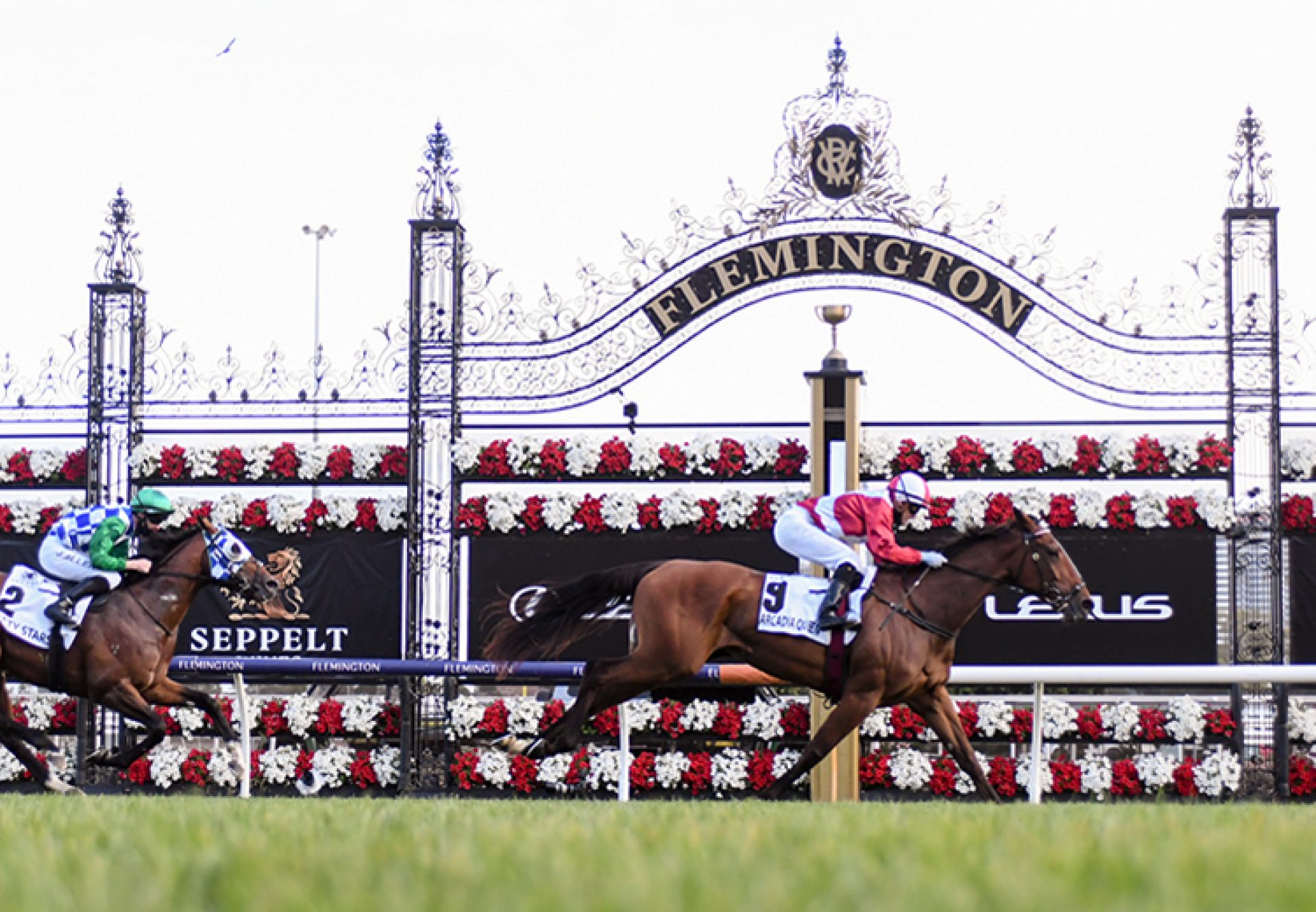 Arcadia Queen (Pierro) wins the Gr.1 Mackinnon Stakes at Flemington