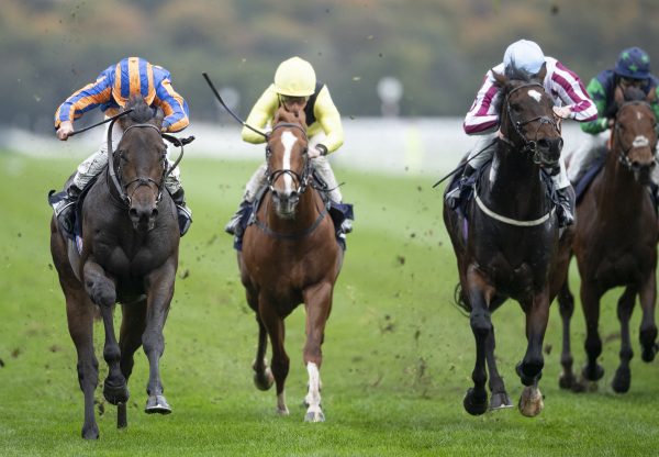 Lipizzaner (Uncle Mo) Wins Listed Doncaster Stakes