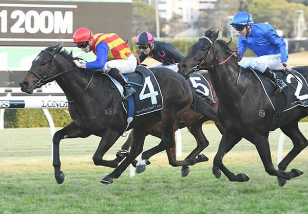 Pierata (Pierro) winning the G2 Missile Stakes at Randwick