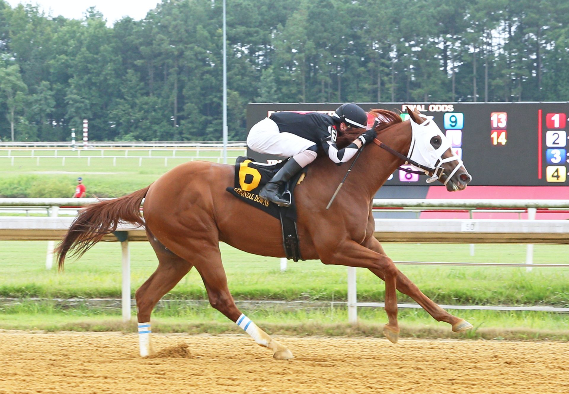 Tejano Twist (Practical Joke) Wins At Colonial Downs