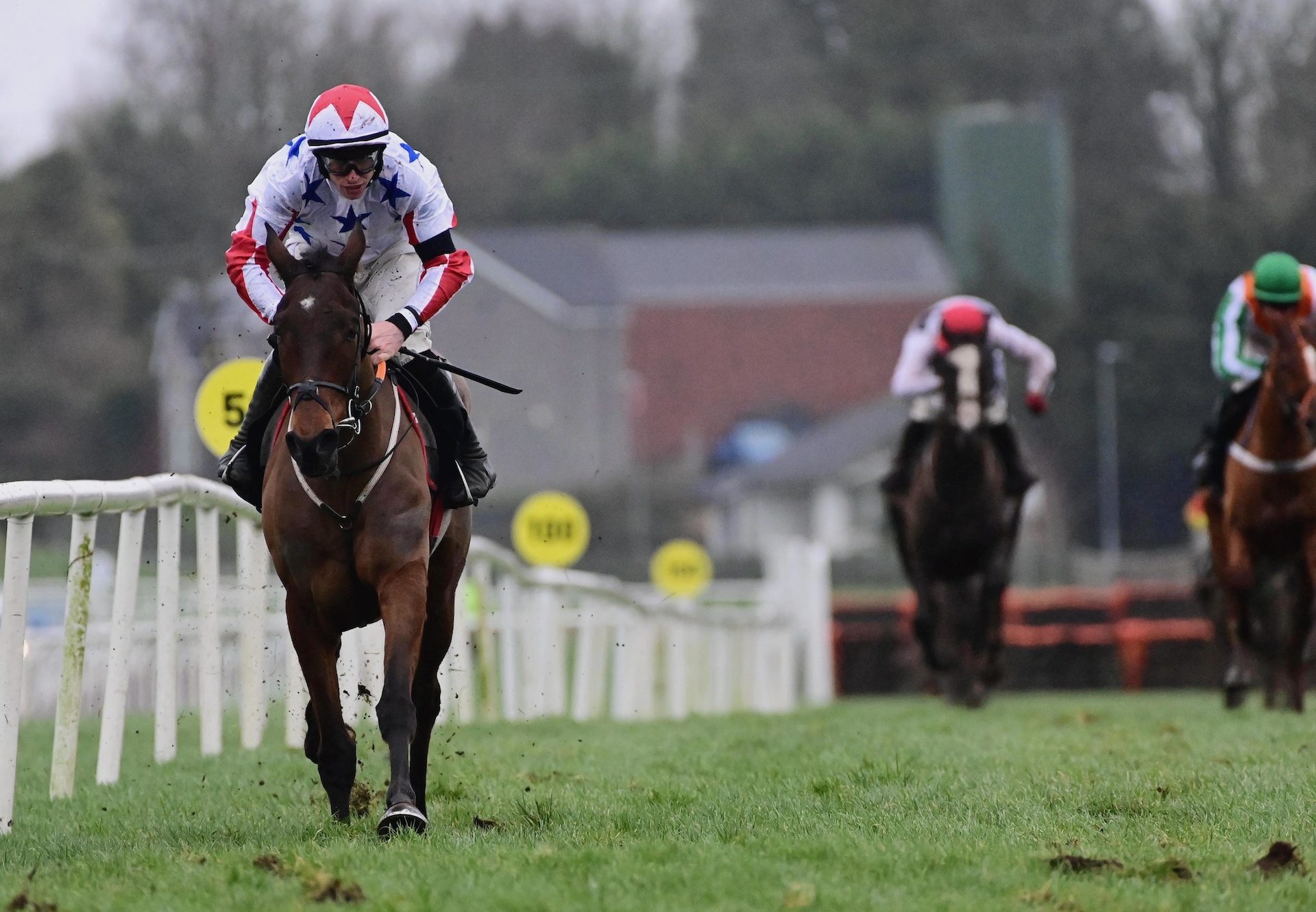 Western Fold (Westerner) Wins The Rated Novice Hurdle At Down Royal