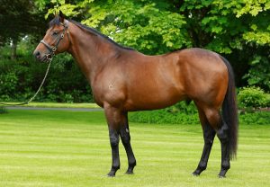 Velocidad (Gleneagles) Lands The Group 2 Airlie Stud Stakes At The Curragh