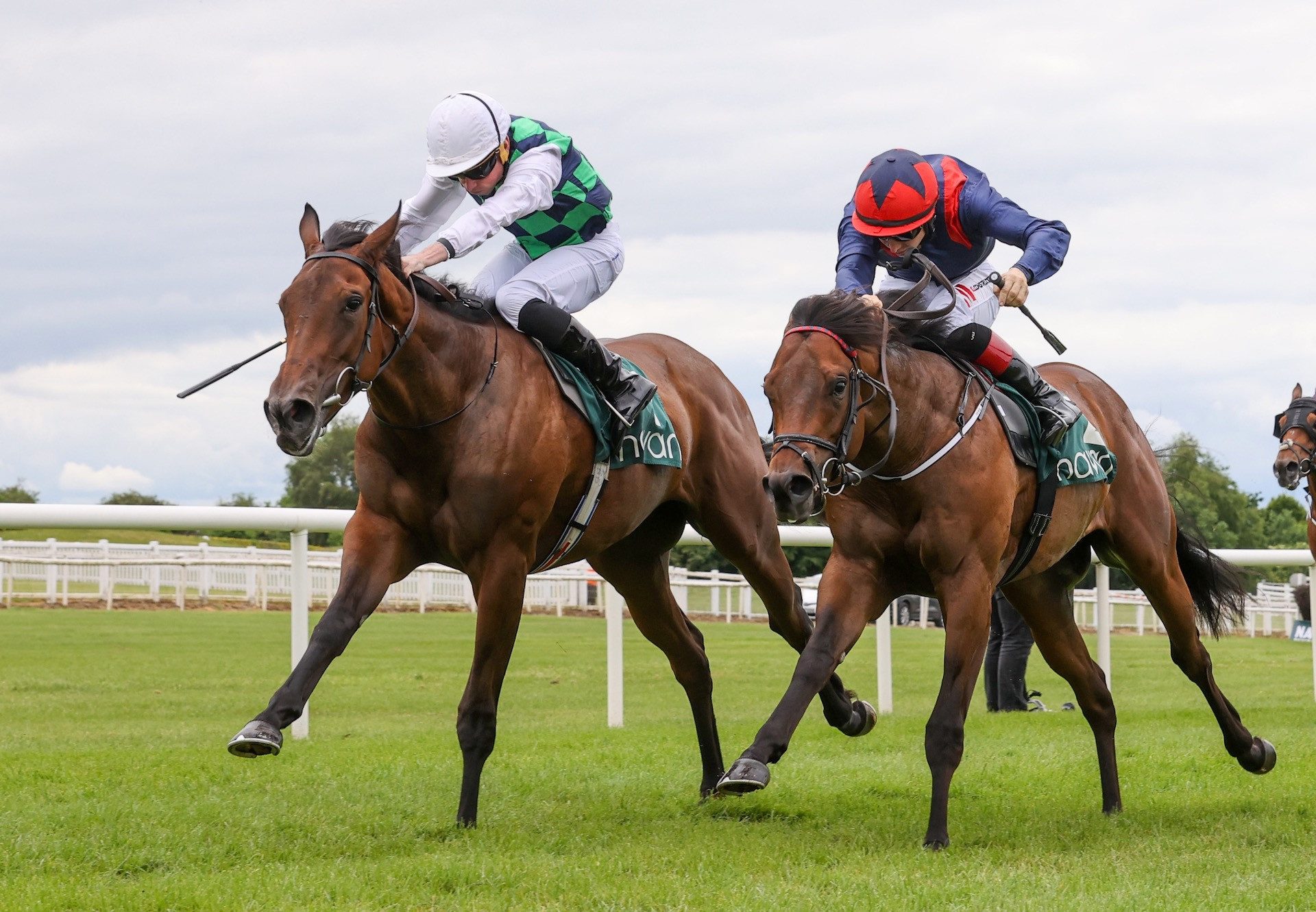 Pearls And Rubies (No Nay Never) Wins On Debut at Navan