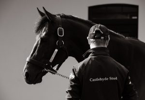 Justify paddock