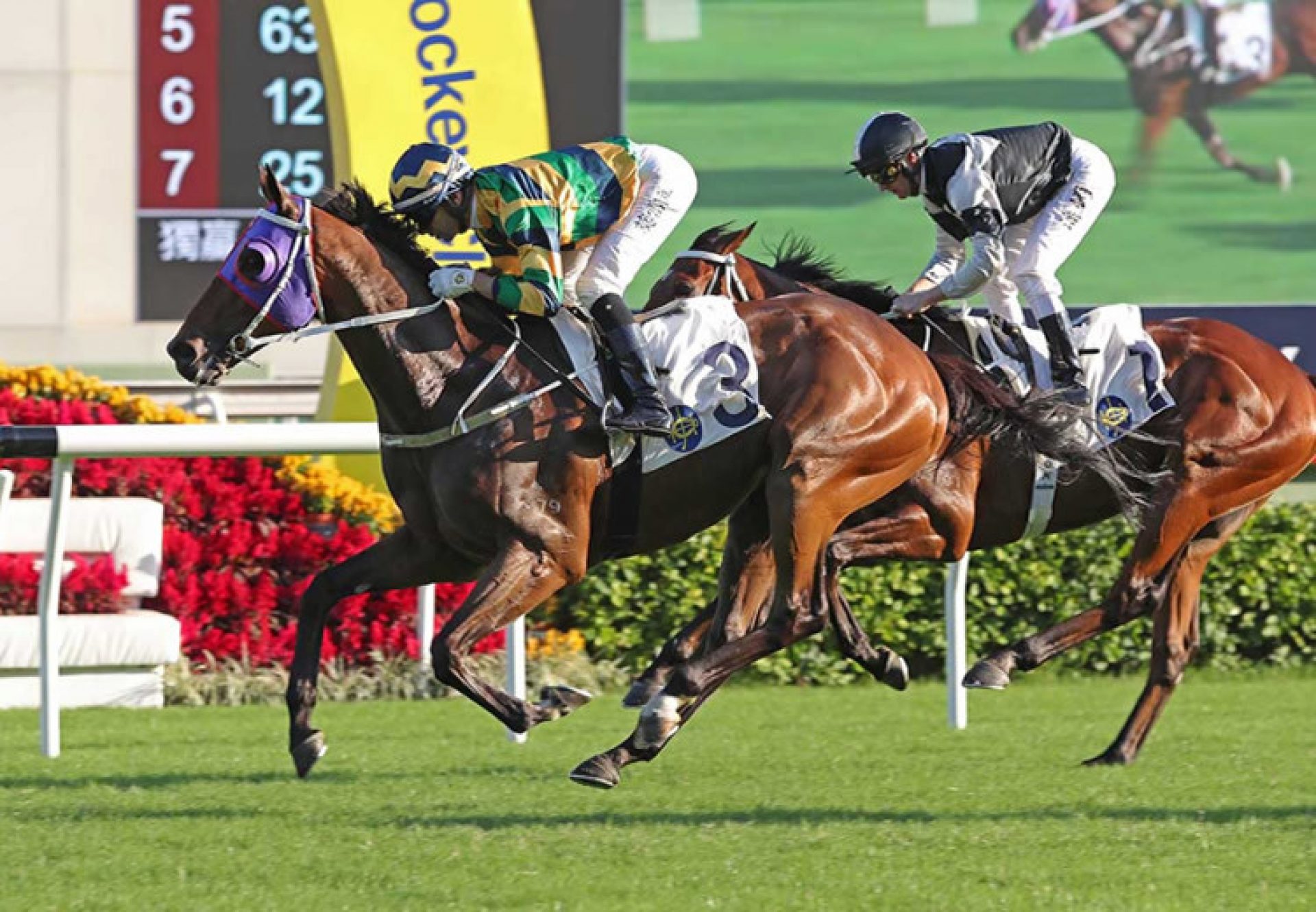 Furore (Pierro) winning the Gr.2 Jockey Club Cup at Sha Tin