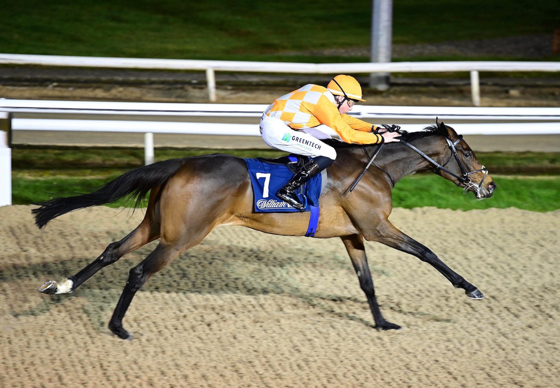 Dancing Tango (Camelot) Wins Her Maiden At Dundalk