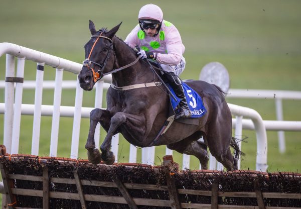 Chapeau De Soleil (Soldier Of Fortune) Wins The Maiden Hurdle At Clonmel