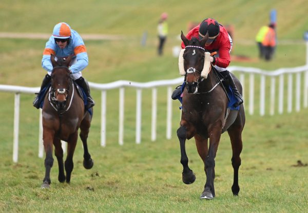 Easy Fella (Yeats) Wins The Rated Novice Hurdle At Thurles