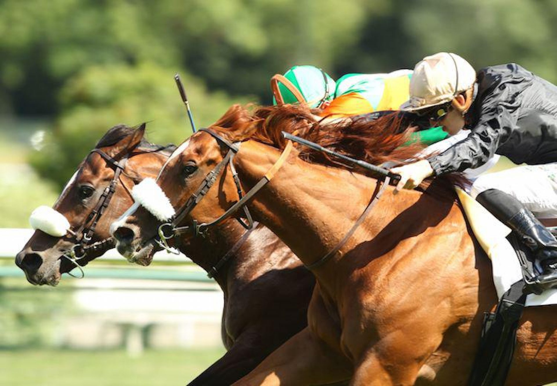 Rosso Corsa (Footstepsinthesand) winning the G3 Prix du Palais-Royal at Longchamp