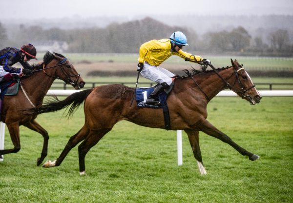 Epona Plays (Australia) Wins The Group 3 Park Express Stakes at Naas