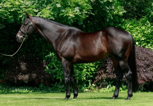 Ten Sovereigns Conformation