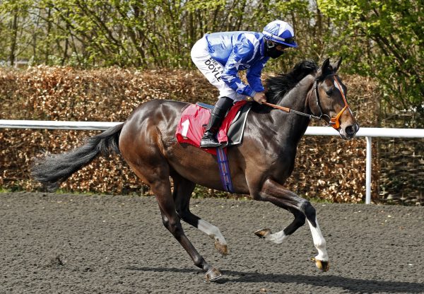 Dukebox (Holy Roman Emperor) winning at Kempton