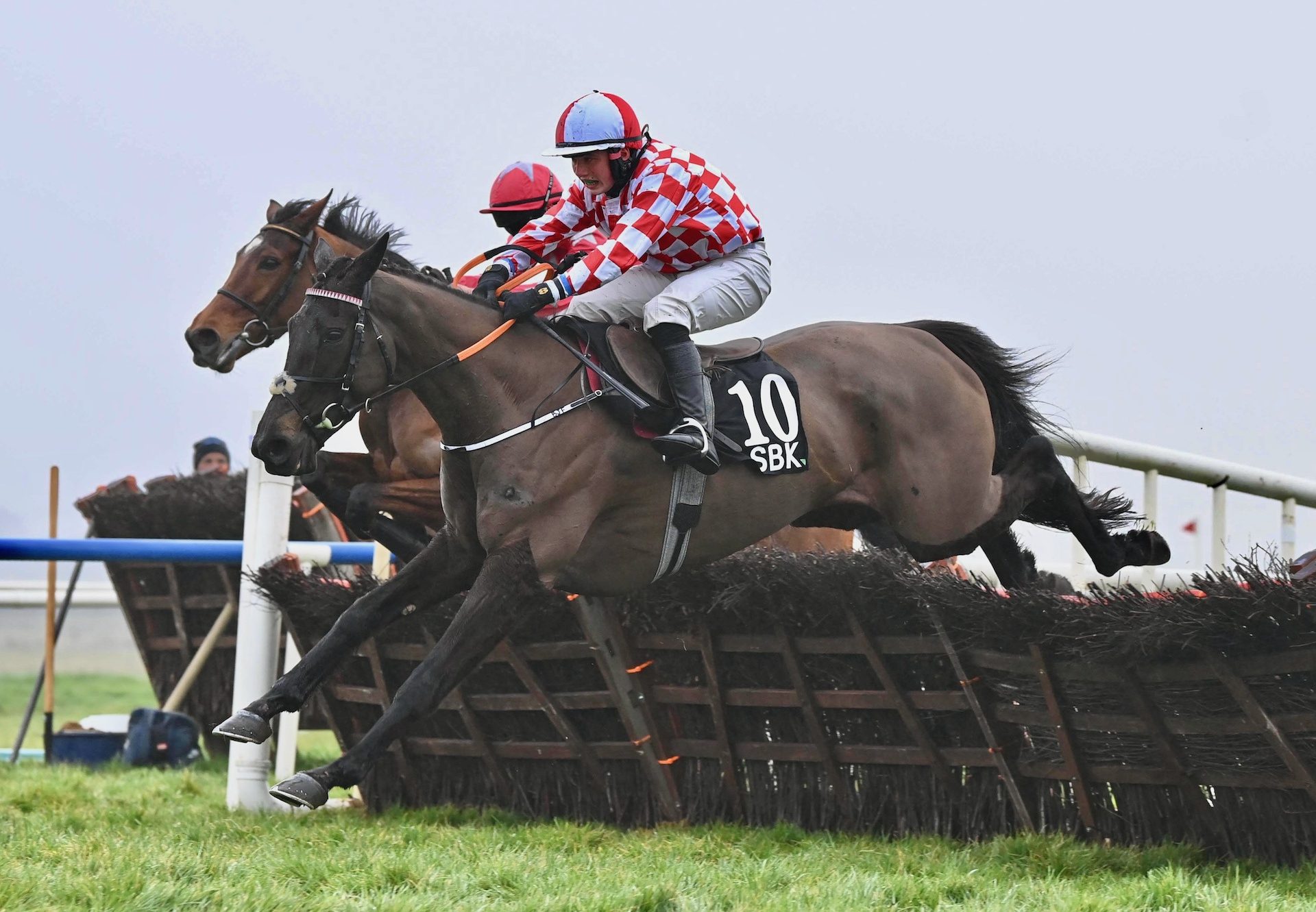 Saddle Her Up (Westerner) Wins The Mares Maiden Hurdle At Fairyhouse