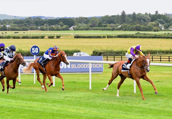 Gan Teorainn (Saxon Warrior) Impresses At Naas