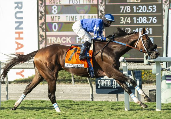 Mo Forza (Uncle Mo) Wins Gr.2 City Of Hope Mile at Santa Anita