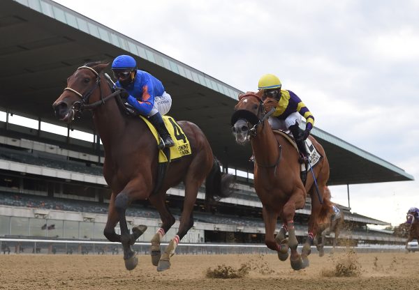 No Mo Spending (Uncle Mo) Wins The Joseph A Gimma Stakes at Belmont Park